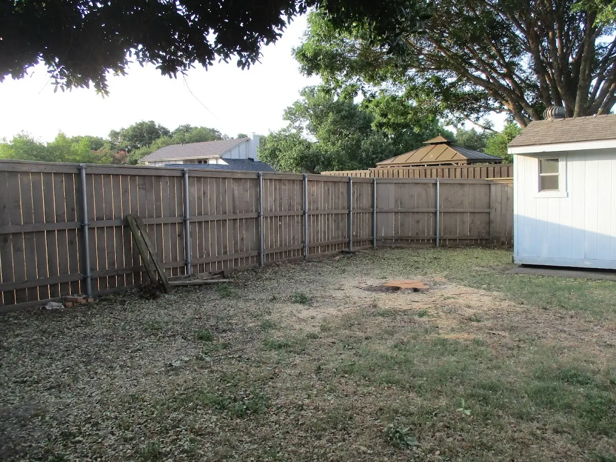 Cleared yard after professional tree removal in Sulphur Springs