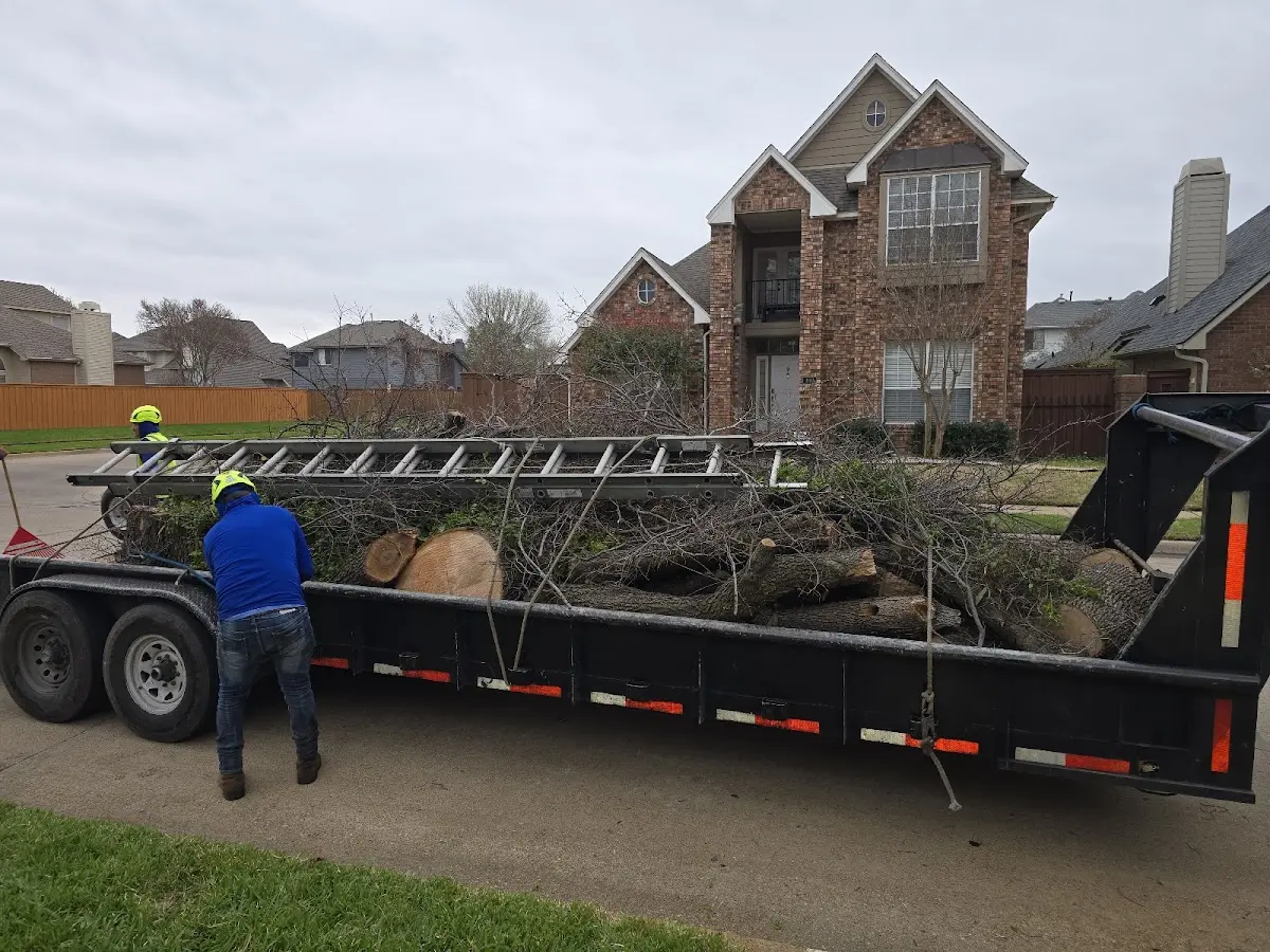 Expert Lot Clearing with proper safety equipment in Sulphur Springs